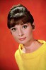 photo Audrey Hepburn