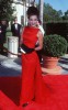 photo Terry Farrell