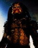 photo Kevin Peter Hall
