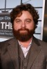 photo Zach Galifianakis