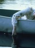 photo Adrienne King