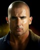 photo Dominic Purcell