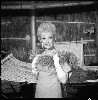 photo Natalie Schafer