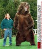 photo Bart the Bear