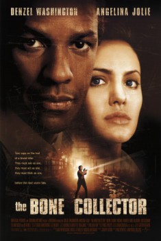 poster The Bone Collector