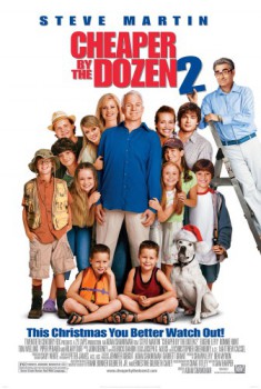 poster Cheaper by the Dozen 2