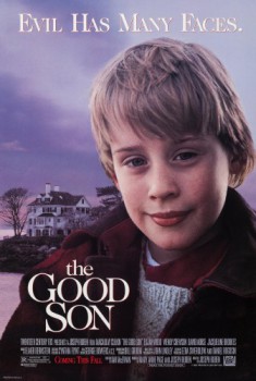poster The Good Son