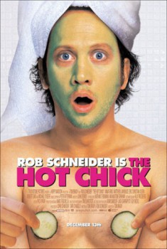 poster The Hot Chick