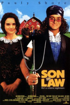 poster Son In Law
