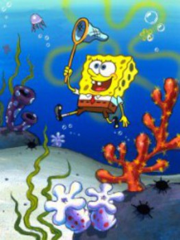 poster SpongeBob SquarePants: Pants or Not