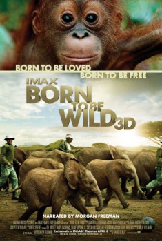 poster Born to Be Wild